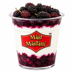 Mulberry Greek Yogurt